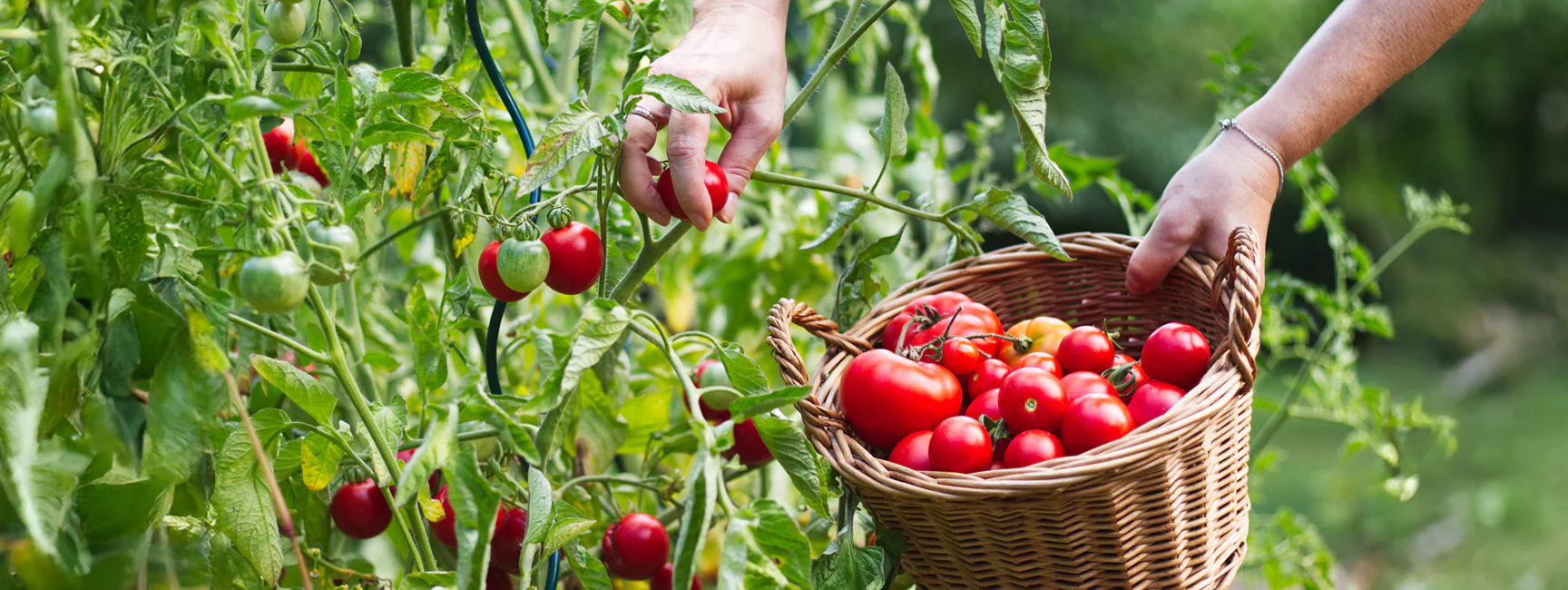 Welcome to Our Store